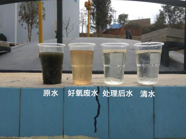 污水曝气罗茨鼓日本正能量行情网应用案例 污水曝气罗茨鼓日本正能量行情网应用案例