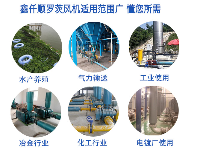 高压罗茨日本正能量行情网(图5)