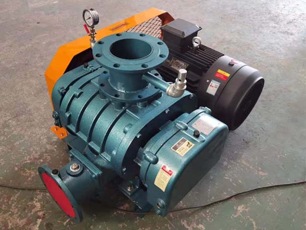 罗茨真空泵 罗茨日本正能量行情网厂家发货江西罗茨真空泵XQSSR125v5台(图1)
